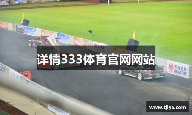 详情333体育官网网站